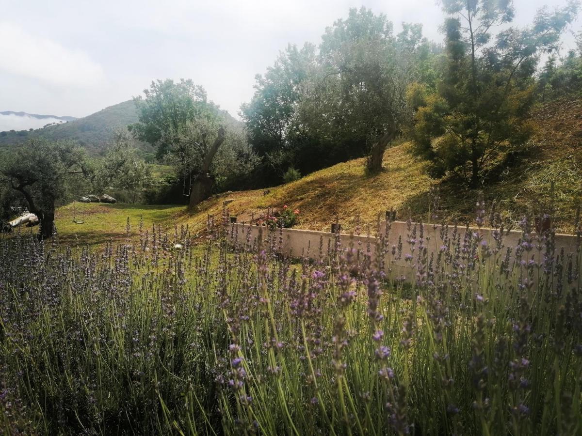 Caccamo L'Opuntia Sul Lago מראה חיצוני תמונה